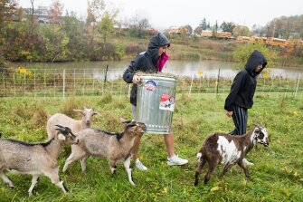 Juniors Alia Russo, 16, right and Sophia Cresta, 16, feed goats at Champlain Valley High School in Hinesburg, Vt. Vermont is a national leader in supporting personalized learning at the state level.