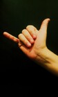 The ASL sign for "me too"
