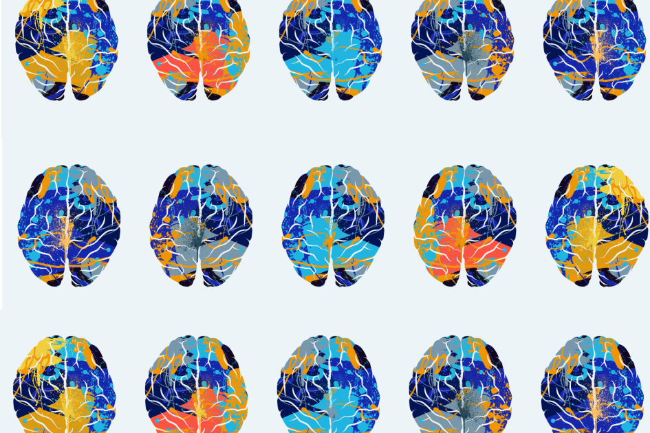 5 Common Learning Differences in Students: A Data Snapshot 5 Common Learning Differences in Students: A Data Snapshot