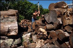 Penikese students are either in trouble with the law or too disruptive for mainstream classes. Eight of them, as well as four staff members, live on the island, where everyone shares the day-to-day chores.