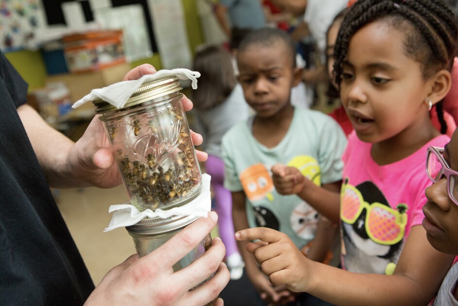 Making Time for Science in Kindergarten Could Have a Big Payoff