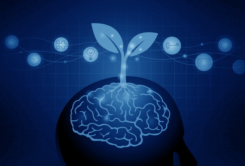 Learning Mind Set Growth Mindset