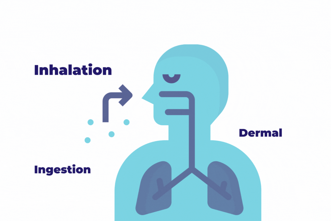 Image of PCB exposure by inhalation, ingestion, dermal contact.