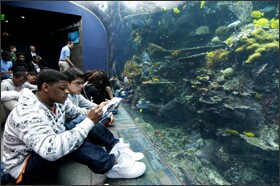 Devon Webster, 15, foreground, and other Moore Middle School students take research notes at the Georgia Aquarium. The school has benefited under the Innovation Fund set up by the state with federal Race to the Top money that is intended to help scale up promising practices at the district level.