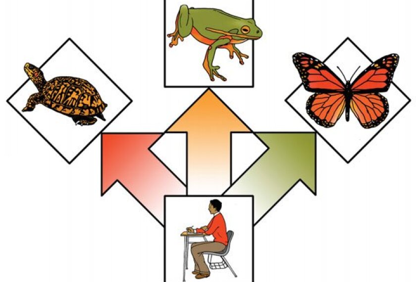 Using Technology to Move Beyond Schools (Opinion)