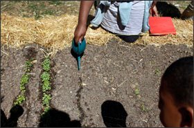 Students at Bailey Middle School water plants that are grown in raised bed gardens as part of the "Bon Appetit" learning unit.