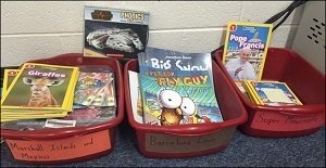 BRIC ARCHIVE