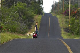 Zaine Bedsaul, 11, a 6th grader, hauls his school backpack up a hill to a friend's house in the Kau district on the Big Island in Hawaii. He and others in the rural area travel a long way to attend school in the neighboring town of Naalehu.