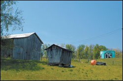 Farms surround Webster High's rural campus. Since most students live far away, there's no stigma associated with riding the bus, and kids rarely form cliques based on where they live.