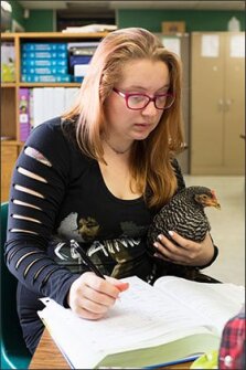 Katrina Whitford, another junior, holds a chicken in her lap as she works in an animal science class at Bryan.