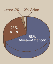 Racial/Ethnic Breakdown Chart