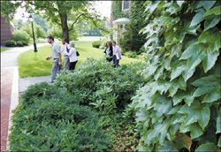 Team members walk to a session at Harvard.