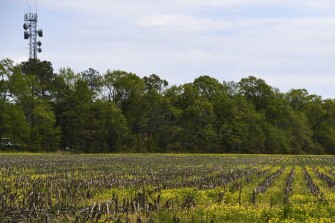 The route to South Dorchester School, where Karen Ruark teaches third grade, is lined with farms and single-family homes.