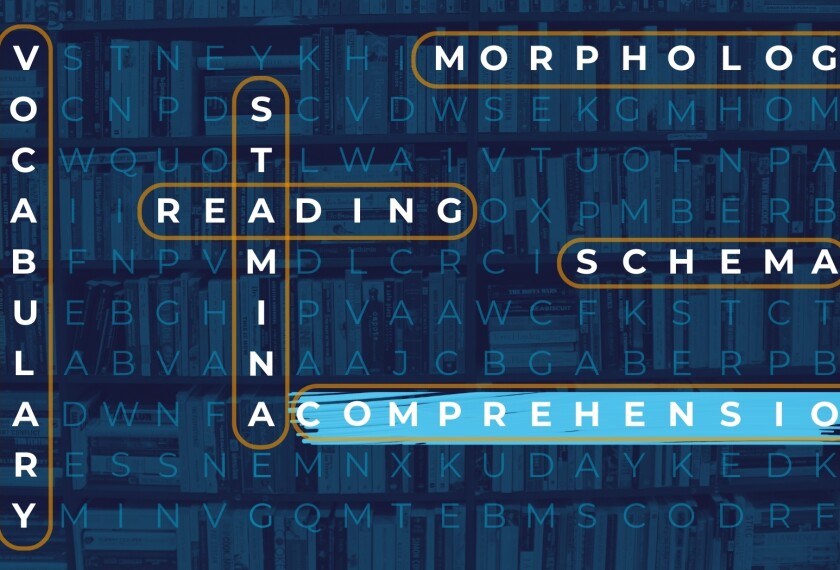 Reading to Understand: Unlocking the Elements of Comprehension