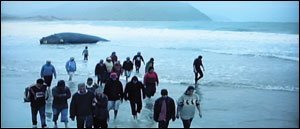 <i>Whale Rider</i> is "rich in content" for lesson plans, says Anna Mara Rutins, JiF's director of programs.