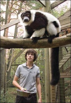 Danny McColgan offers a bowl of food to Fang, an endangered black-and-white ruffed lemur. The 15-year-old is among the school’s 40 or so “zooies”—students who volunteer to care for the animals every day, learning about their habits and biology along the way.