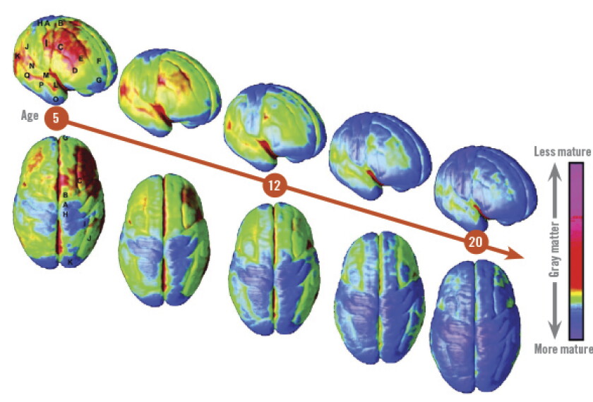 The Teen Brain: How Schools Can Help Students Manage Emotions and Make Better Decisions