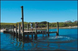 Visitors arrive in the <i>Harold M. Hill</i>.