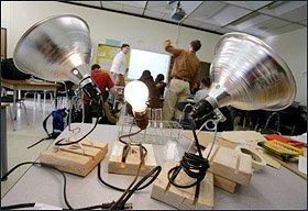 Simple tools such as lamps are supposed to act like the sun in an experiment on the physics behind light.