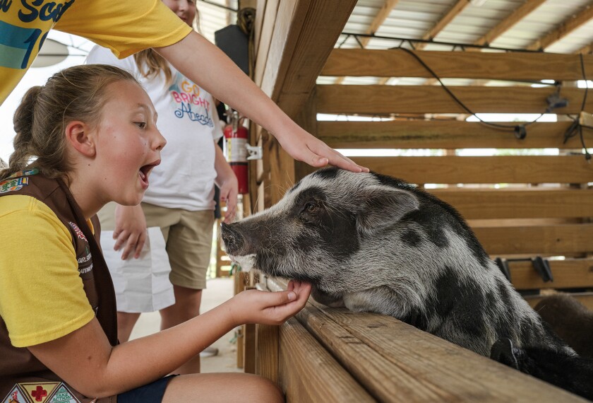 Why Teachers Need to Be Honest With Students (Opinion)