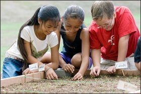 From left, Niki Quartero, Tehani Desselle, and Tommy Mullenaux, all age 9, work on weeding a section of a seedling garden at Waikiki Elementary.