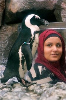 Moore Middle school student Hadel Altamimi, 14, goes eye to eye with a penguin.