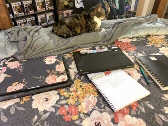 Amy Parkinson, dean of students at Pembroke Academy in Pembroke, N.H., has been conferencing with her departments and administrative team, finding resources to support her teachers and students, and trying to reach out and support school community members. Her cat Pixie keeps her company.