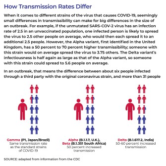 Chart of figures showing how transmission rates differ among the different strains of COVID-19.