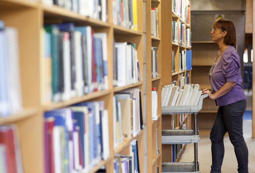How School Libraries Buy Books, Struggle for Funds, and Confront