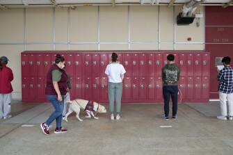 Trainer Alysia Santos walks with Scarlett, a medical detection dog with Early Alert Canines, as she sniffs students to detect COVID at Mills High School in Millbrae, California, Thursday, May 5, 2022. Some students volunteered to be sniffed for COVID by medical detection dogs before prom.