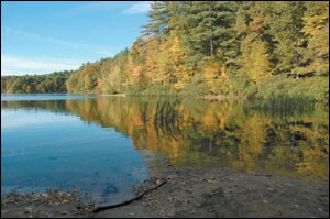 Thoreau built his cabin near the 61-acre Walden Pond.
