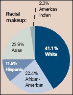 Seattle Racial makeup