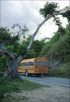 A school bus traverses the rural mountaintops of Utuado, Puerto Rico.