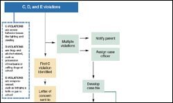 Click to enlarge: The Intervention Process