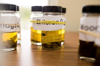 A water sample from Huron Creek.