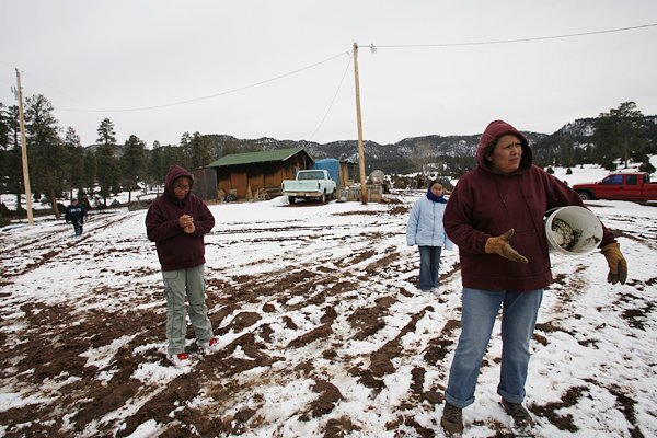 Laurinda talks with her husband James, not shown, after feeding the sheep.