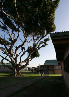 Schools such as Naalehu Elementary aim to use federal grants to counter rural isolation and poverty.
