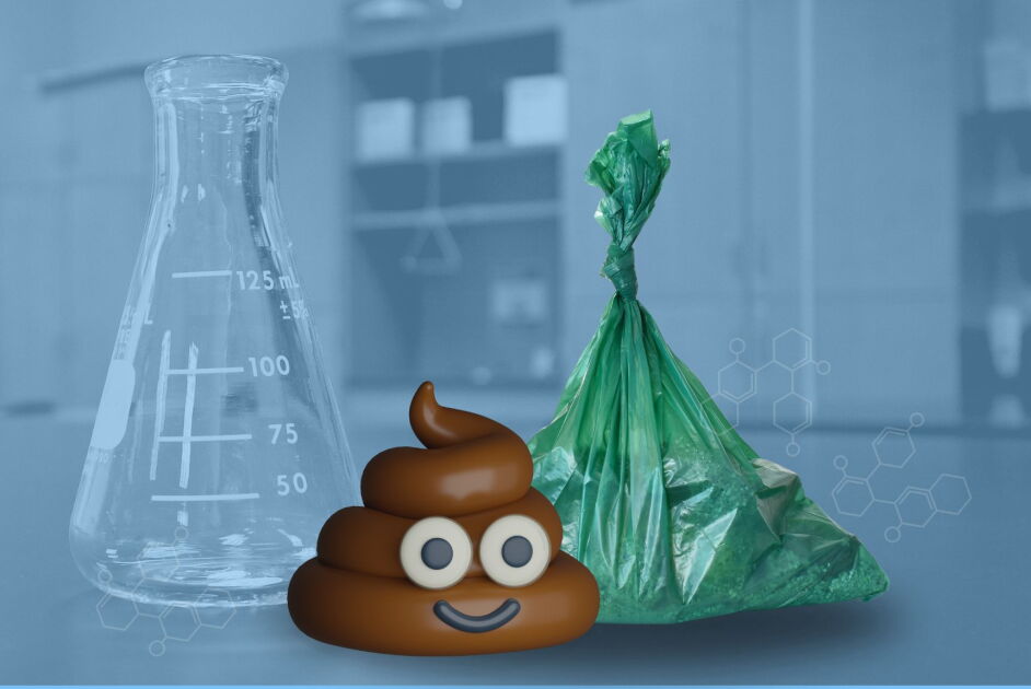 Sql Poop Holy Excrement! How Poop and Other Kid Fascinations Can Ignite a ...