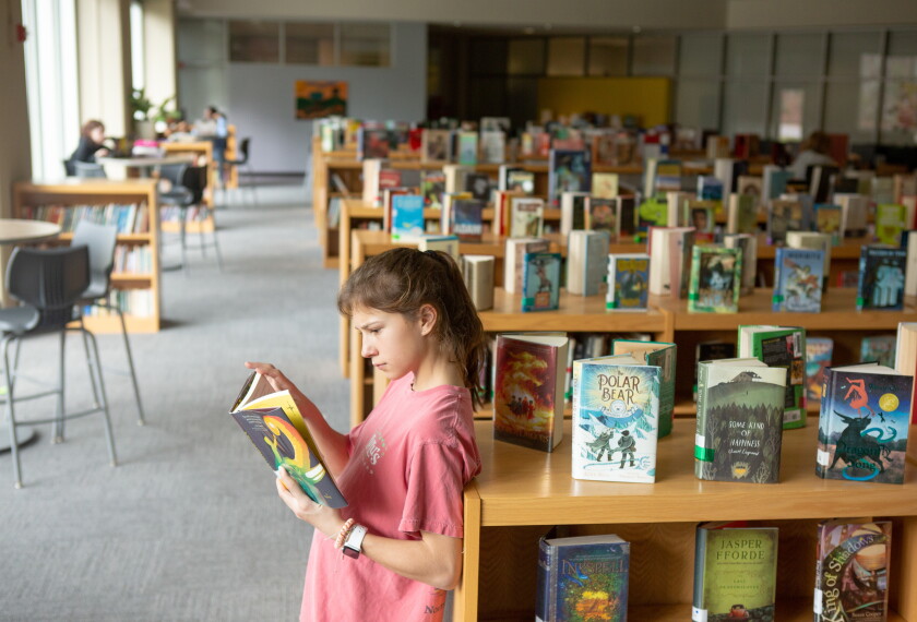 Reading Books In The Library Classroom Reading Groups: 5 Lessons From Recent Studies