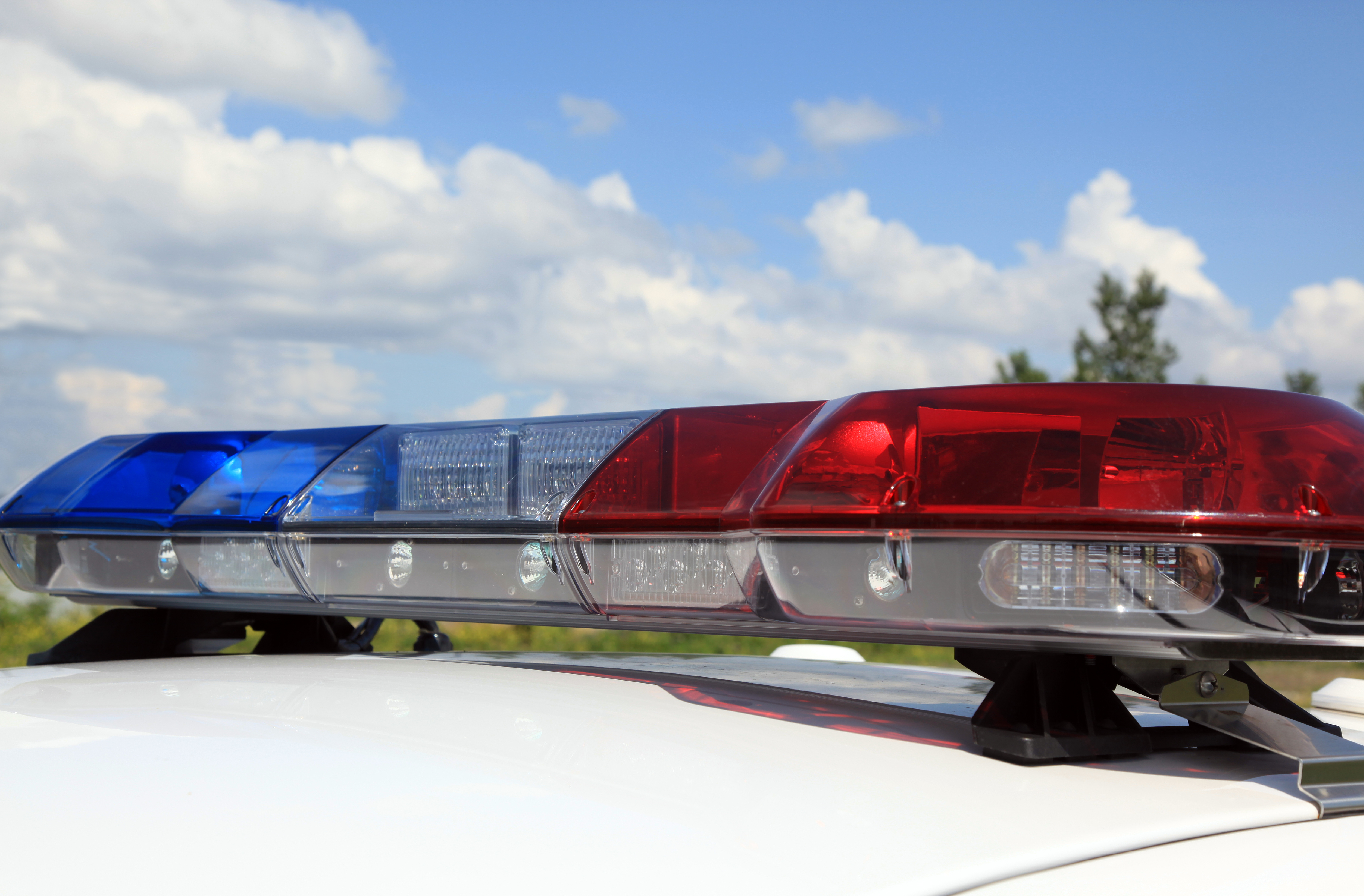 the police free schools movement made headway has it lost momentum opinion